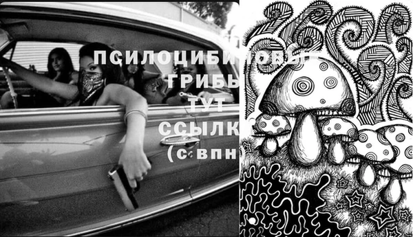 МДПВ Армянск