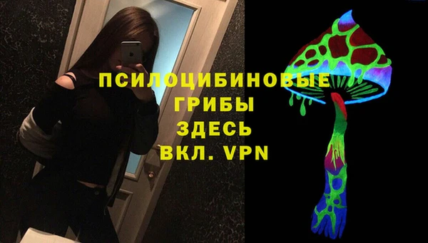 a pvp Арсеньев