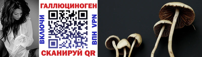 Галлюциногенные грибы ЛСД  Радужный 